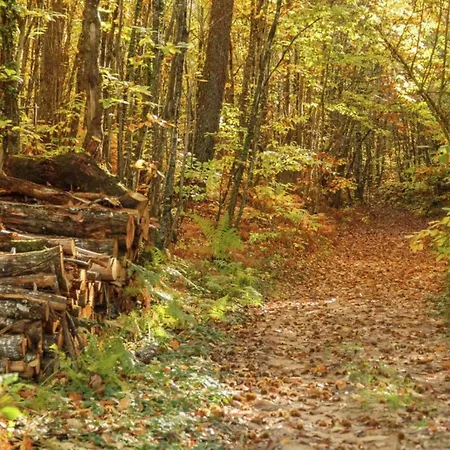 Casa de Férias Countryside Charm *