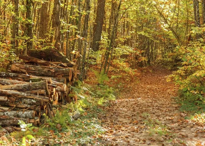 Σπίτι διακοπών Countryside Charm *